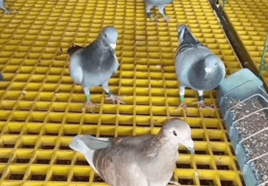 1657338812402007956.png 微信图片_20220709114745_new.png