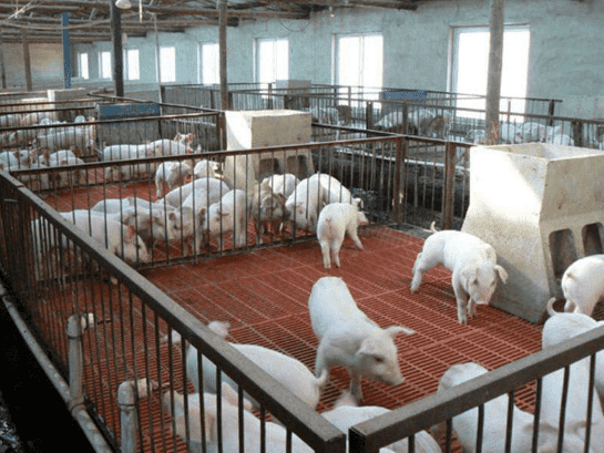 养殖厂平台专用玻璃钢格栅板厂家批发